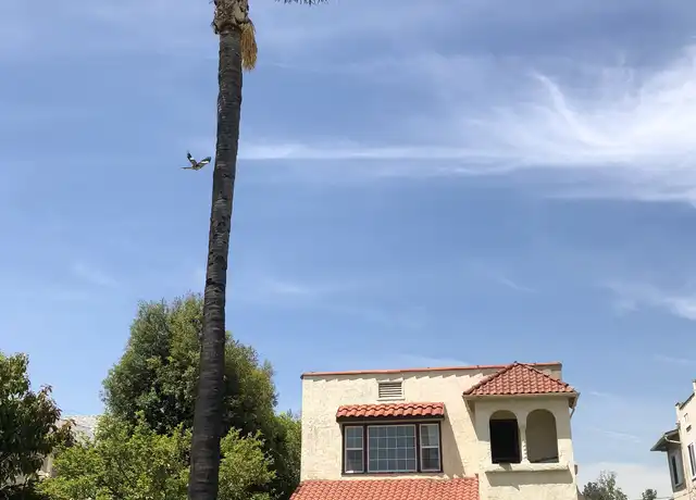 Property at 1841 S 8th St Unit none, Alhambra, CA, 91803, 4 beds, 1.5 baths, [object Object]