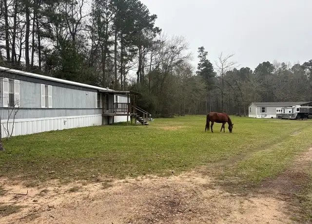 Property at 0 Hall Dr N, Montgomery, TX, 77316, 3 beds, 2 baths, [object Object]