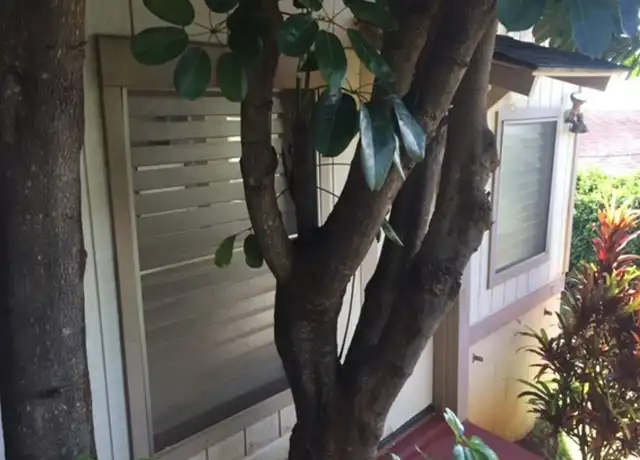 Property at 4137 Sierra Dr Unit A, Honolulu, HI, 96816, 0 beds, 1 bath, [object Object]