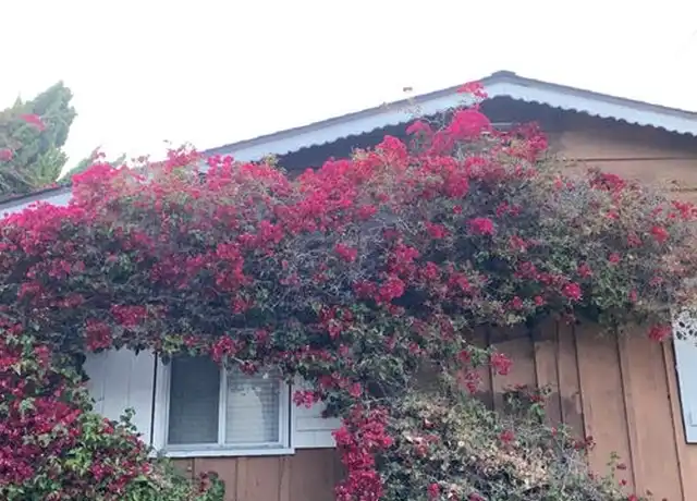 Property at 11317 Iowa Ave, Los Angeles, CA, 90025, 1 bed, 1 bath, [object Object]