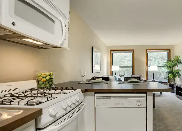 Property at Ridgewood Arches - 223 Ridgewood Ave, Minneapolis, MN, 55403, 1 bed, 1 bath, [object Object]