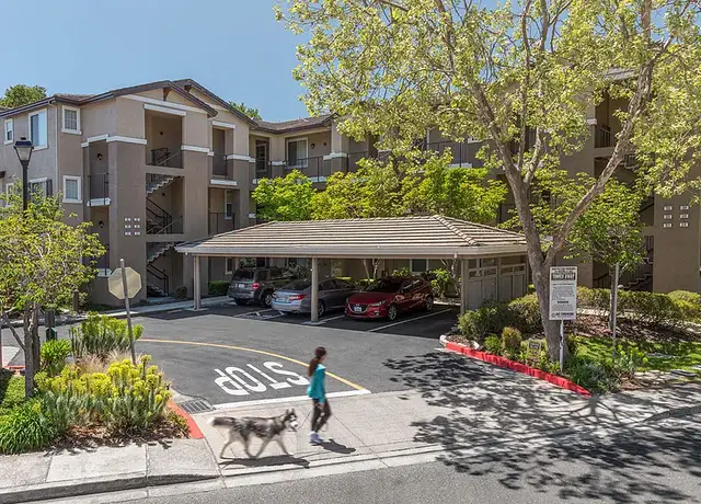Photo of 255 Park Pl, San Ramon, CA 94583