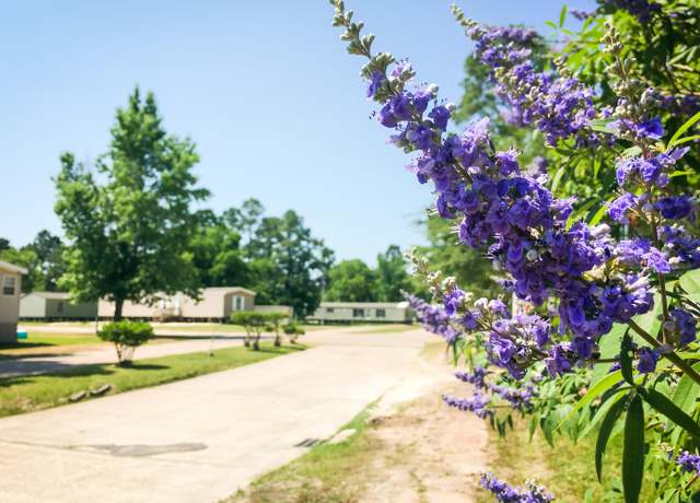 clayton homes of lumberton texas