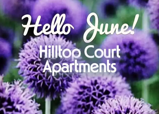 Property at Hilltop Court Apartments - 158 Warner Milne Rd, Oregon City, OR, 97045, 1 bed, 1 bath, [object Object]