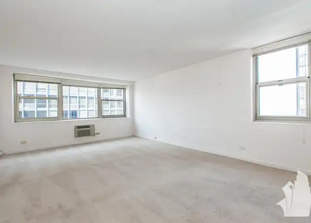 Property at 253 E Delaware Pl, Chicago, IL, 60611, 1 bed, 1 bath, [object Object]