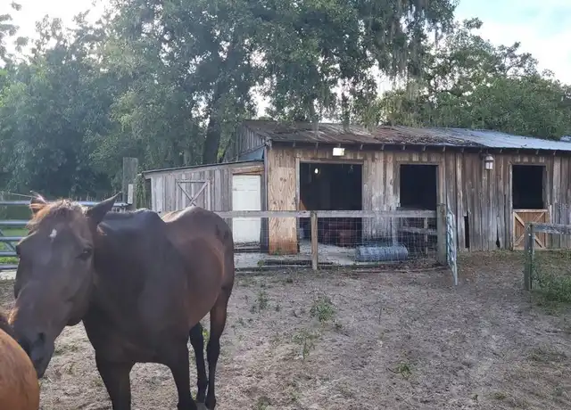 Property at 11025 Pinto Dr, Hudson, FL, 34669, 1 bed, 2 baths, [object Object]
