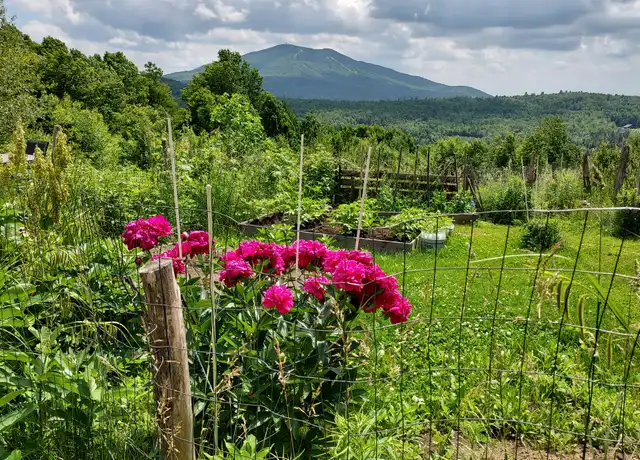 Property at 355 Camp Rd, East Burke, VT, 05832, 4 beds, 2 baths, [object Object]