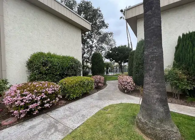 Property at Ikaria Apartments - 8876 Olive Ln, Santee, CA, 92071, 1 bed, 1 bath, [object Object]