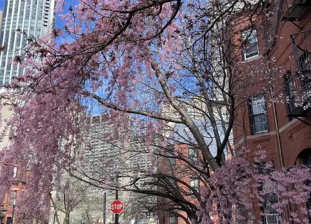 Property at 98 Saint Botolph St Unit 6, Boston, MA, 02116, 1 bed, 1 bath, [object Object]