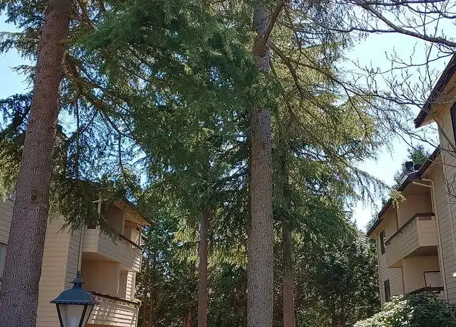 Property at Jackson Greens Apartments - 13341 15th Ave NE, Seattle, WA, 98125, 1-2 bed, 1-2 bath, [object Object]