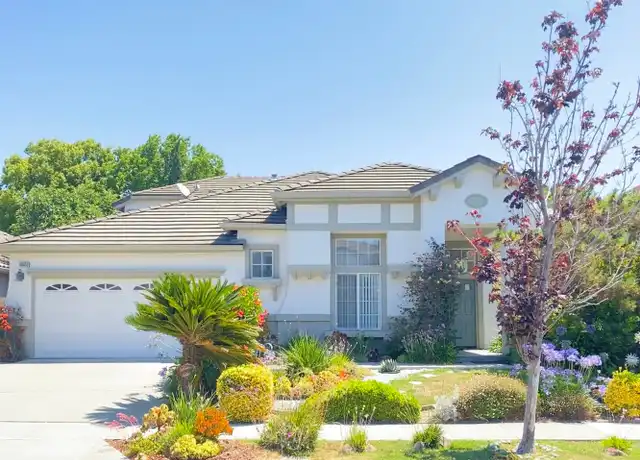 Property at 48858 Sauvignon Ct, Fremont, CA, 94539, 5 beds, 4 baths, [object Object]