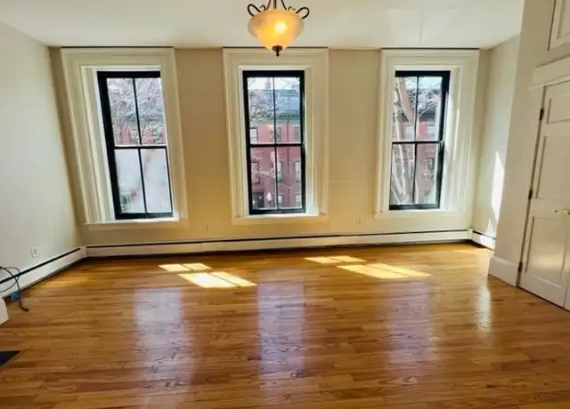 Property at 32 E Springfield St #2, Roxbury, MA, 02118, 1 bed, 1 bath, [object Object]