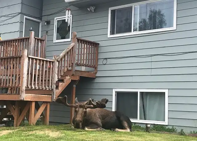 Property at 3782 W 84th Ave Unit B, Anchorage, AK, 99502, 2 beds, 1 bath, [object Object]