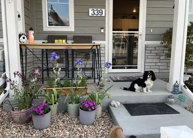 Property at 339 Condor Way, Johnstown, CO, 80534, 2 beds, 2.5 baths, [object Object]