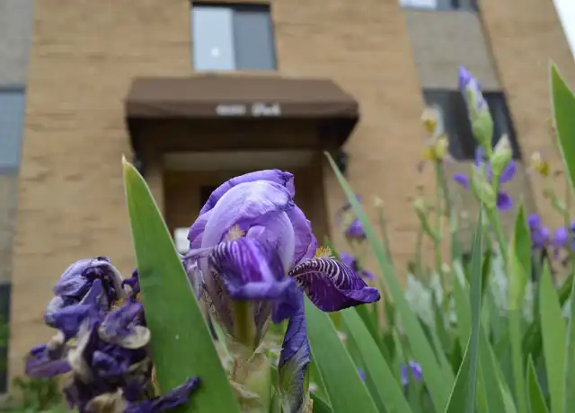 Property at 1600 Park Ave Unit 6, Minneapolis, MN, 55404, 1 bed, 1 bath, [object Object]