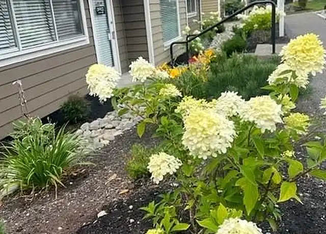 Property at Westhampton Apartments - 333 S 320th St, Federal Way, WA, 98003, 3 beds, 2 baths, [object Object]