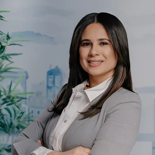 Kirssis Nunez, Partner Agent