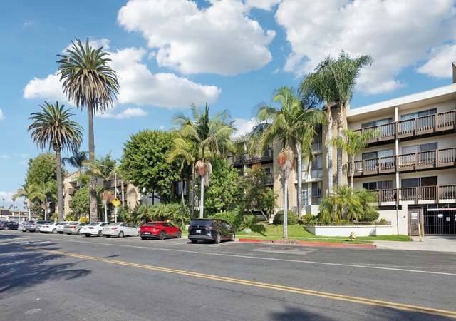 Photo of 320 S Ardmore Ave #325, Los Angeles, CA 90020