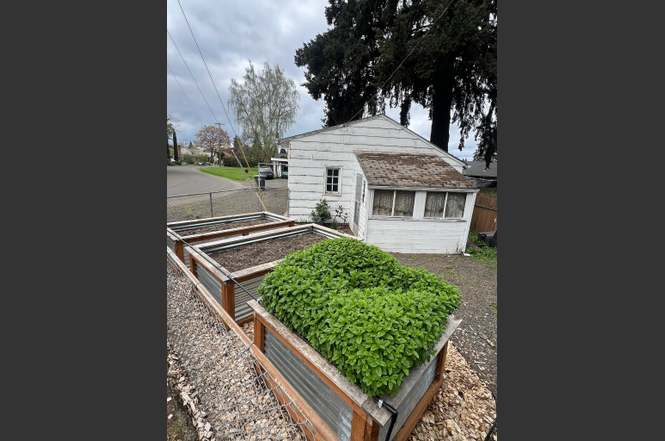 1109 NE Birchwood Dr, Hillsboro, OR 97124 | MLS# 20425262 | Redfin