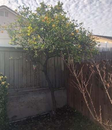 Photo of 1242 Willowspring Ln, Corona, CA 92882