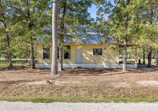 Photo of 326 W Woodland Shores Dr, Point Blank, TX 77364