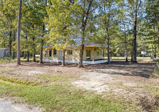 Photo of 326 W Woodland Shores Dr, Point Blank, TX 77364