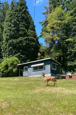 Property at 155 N Terrace Rd, Hoodsport, WA 98548, 1 bed, 1 bath