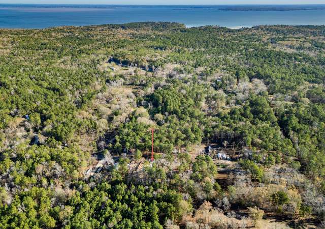Photo of 131 Morris Creek Rd, Coldspring, TX 77331
