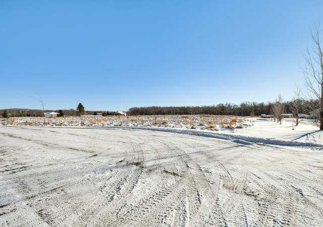 Photo of 196xx 346th, Shafer Twp, MN 55084