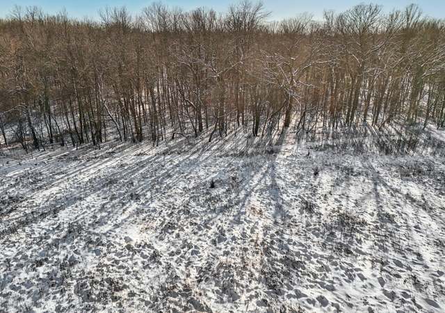 Photo of 196xx 346th, Shafer Twp, MN 55084