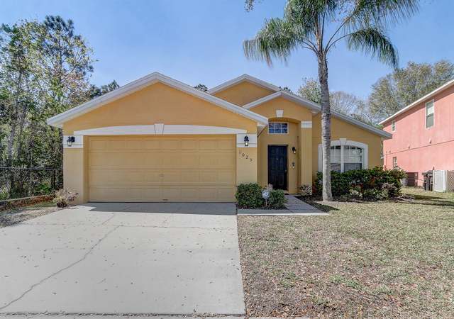 Property at 1025 Sandy Ridge Dr, Davenport, FL 33896, 5 beds, 3 baths