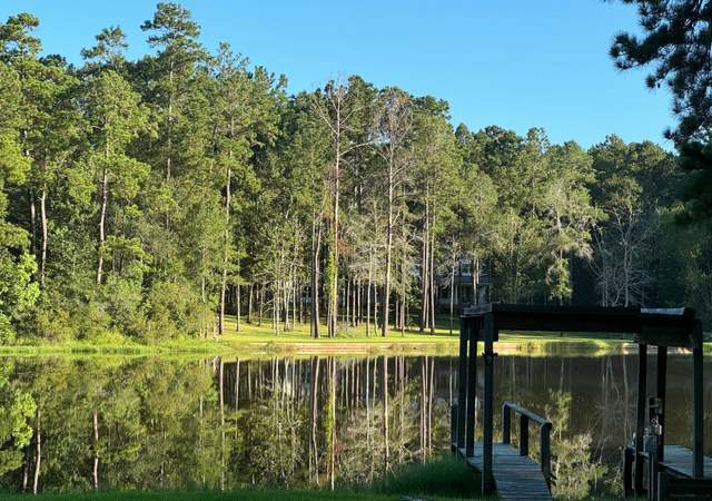 Photo of 653 Terrace Trl, Goodrich, TX 77335