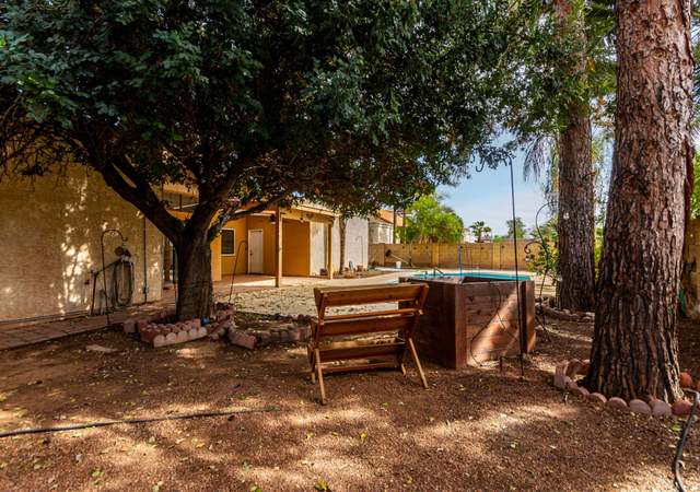 Photo of 1324 N Lesueur --, Mesa, AZ 85203
