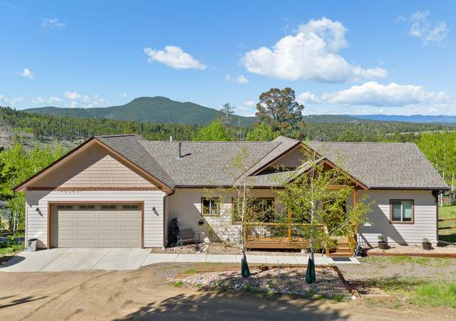 Property at 11033 Barker Ave, Conifer, CO 80433, 3 beds, 3 baths