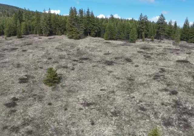 Photo of 000 Jackknife Cutoff Rd, Kettle Falls, WA 99141