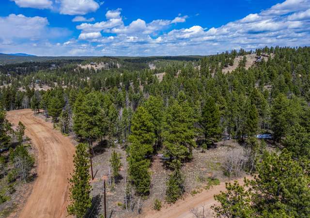Property at 451 Chipeta Creek Trl, Florissant, CO 80816