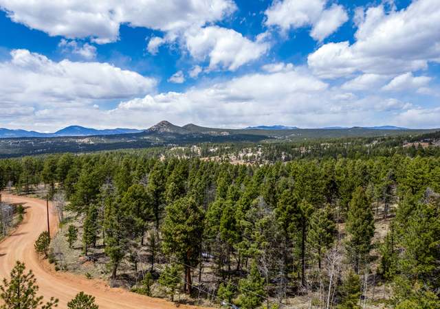 Photo of 451 Chipeta Creek Trl, Florissant, CO 80816