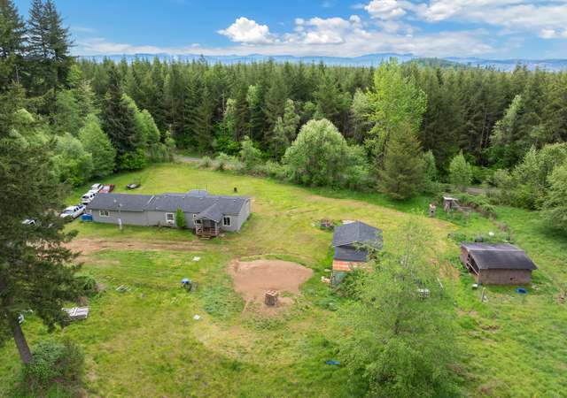 Photo of 486 Justus Rd, Cinebar, WA 98533