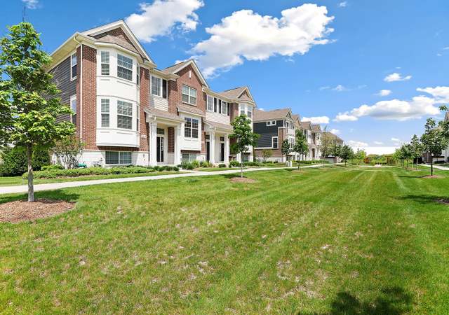 Photo of 13916 S Addison Trl, Homer Glen, IL 60491
