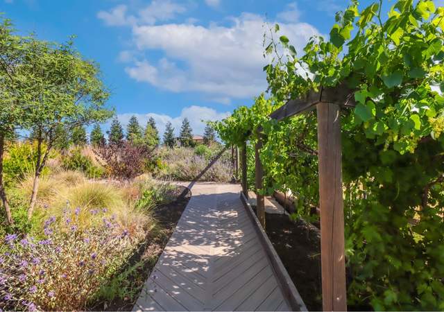 Photo of 8304 Shadi Ln, Winters, CA 95694