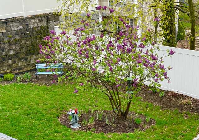 Photo of 83 Madison Ave, Quincy, MA 02169