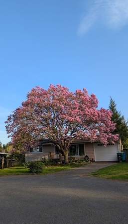 Property at 16204 Corliss Pl N, Shoreline, WA 98133, 4 beds, 2 baths