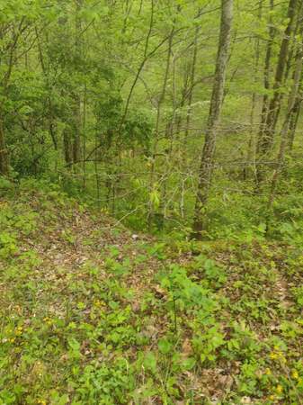 Property at 1209 Cold Mountain Rd, Hurley, VA 24620