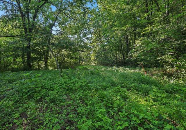 Photo of 2326 Fairfield Rd, Westmoreland, TN 37186
