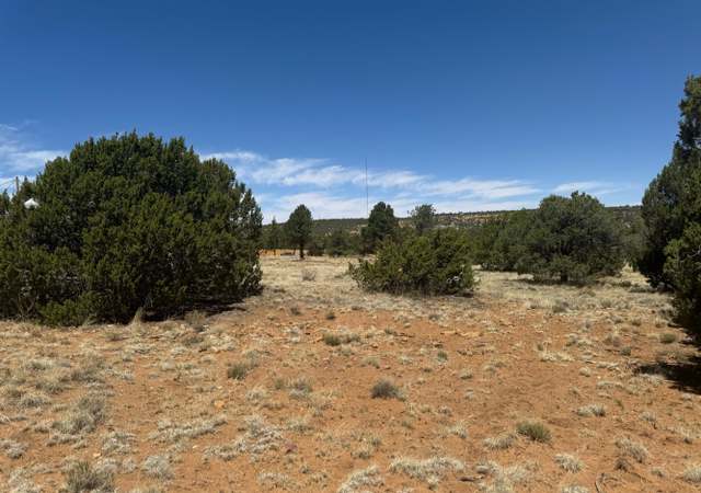 Property at 18 County Road 8021, Concho, AZ 85924