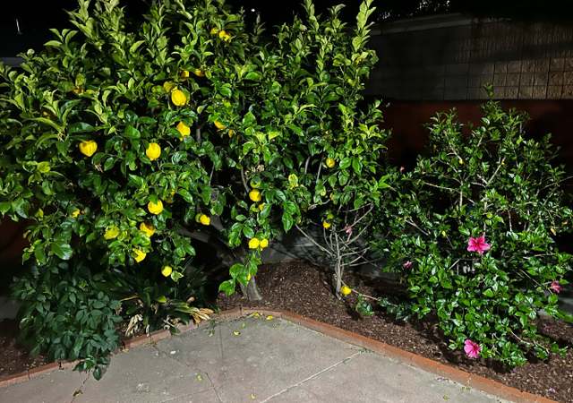 Property at 185 Mclellan Ave, San Mateo, CA 94403, 3 beds, 2.5 baths