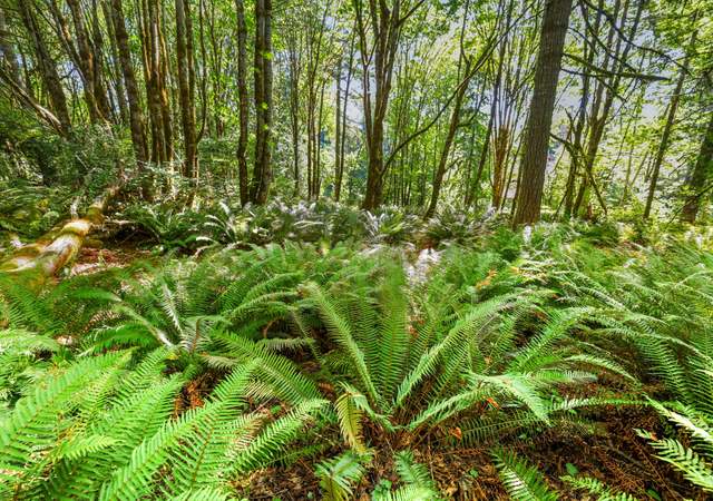 Property at 4937 Black Lake Blvd SW, Olympia, WA 98512