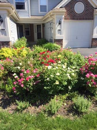 Photo of 931 Little Falls Ct, Elk Grove Village, IL 60007