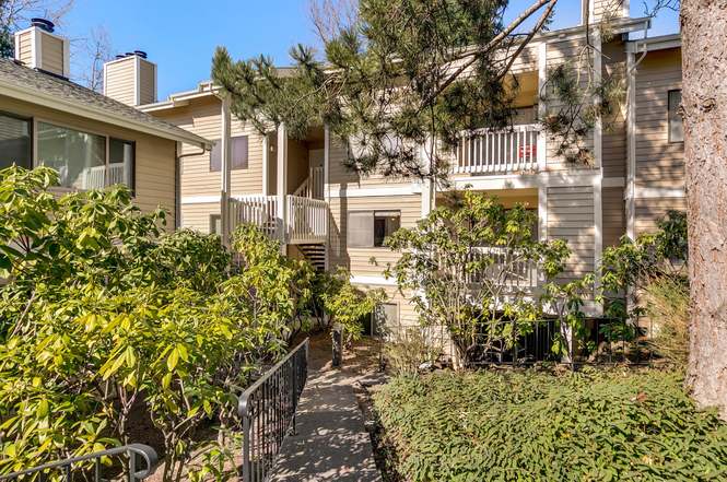 40 SE 40th Ct Unit C40 Bellevue WA 40 40 Beds40740 Baths Enchanting 2 Bedroom Apartments Bellevue Wa Painting 40 SE 40th Ct Unit C40 Bellevue WA 40 40 Beds40740 Baths Enchanting 2 Bedroom Apartments Bellevue Wa Painting