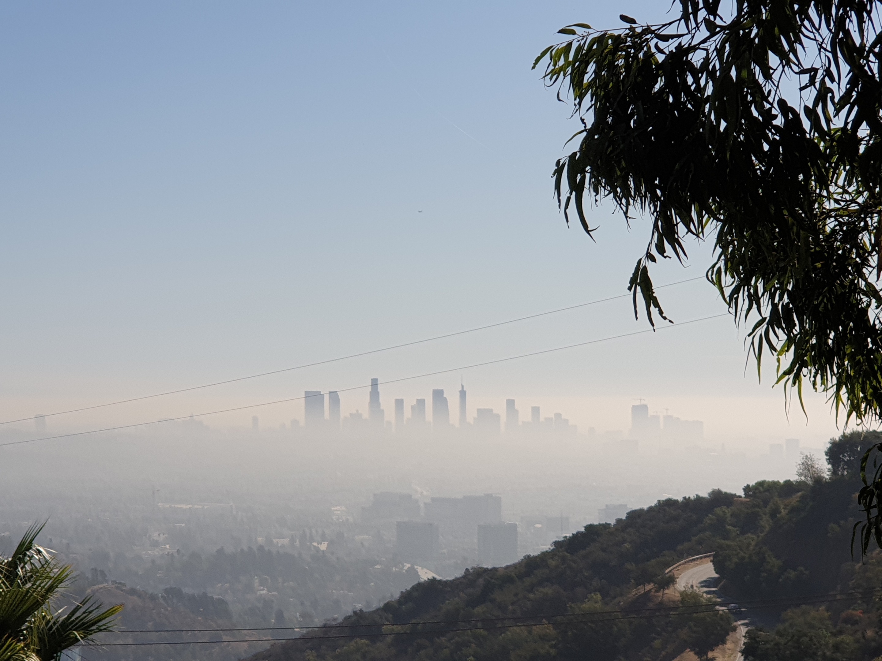7018 Pacific View Dr, Los Angeles, CA 90068 Redfin